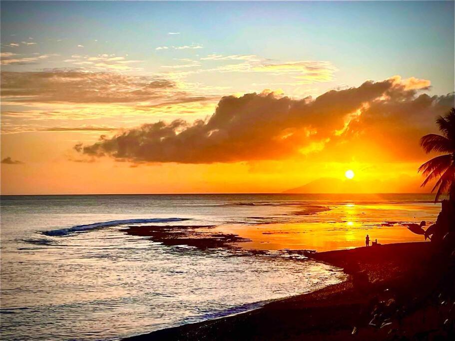 Moehani Beach Lodge بوناويا المظهر الخارجي الصورة